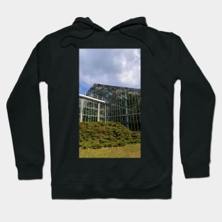 botany Hoodie